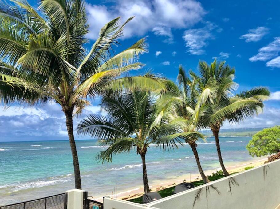 Looking toward the east from your condo.