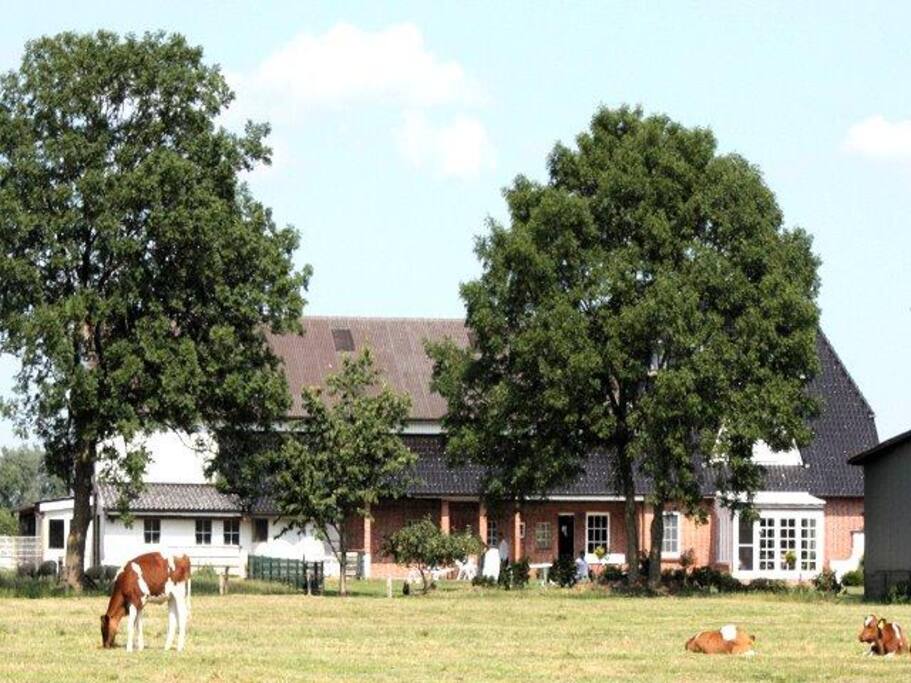 Hausansicht (Westseite)