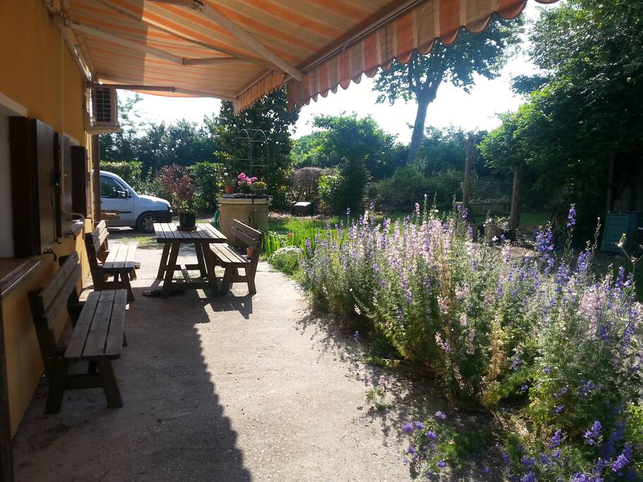Gli spazi esterni sono immersi nel verde e nei fiori