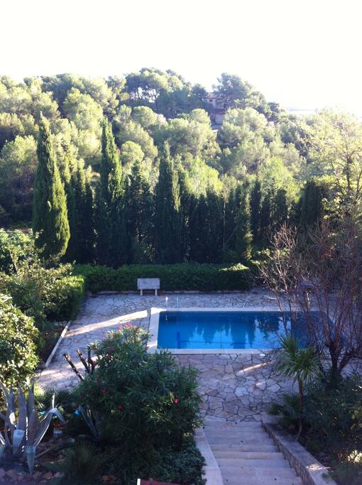 vue jardin