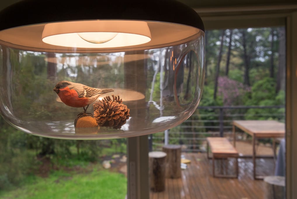 Bird Light looking out onto the balcony and pines