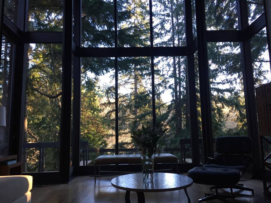 2 storey floor to ceiling windows.