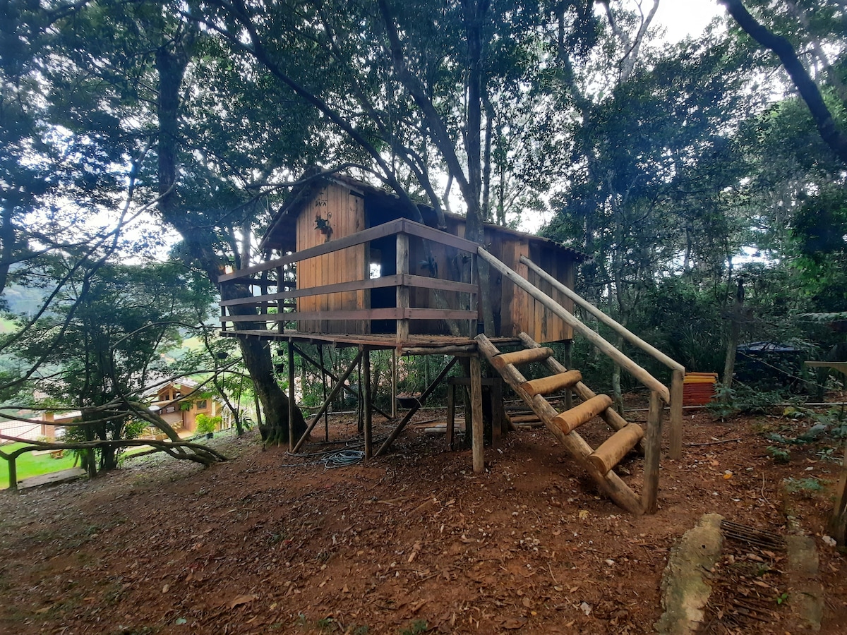 A wooden chalet is elevated on stilts among lush trees, accessed by a set of wooden stairs. The natural setting surrounds the structure, which features a rustic design and a rounded roof, offering a secluded atmosphere.