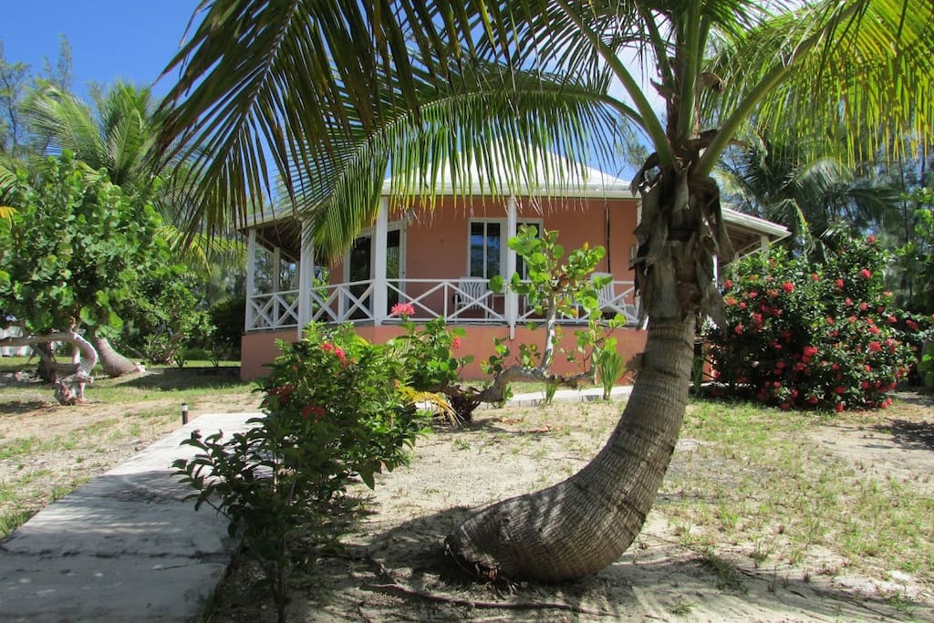 Garden view of Cottage