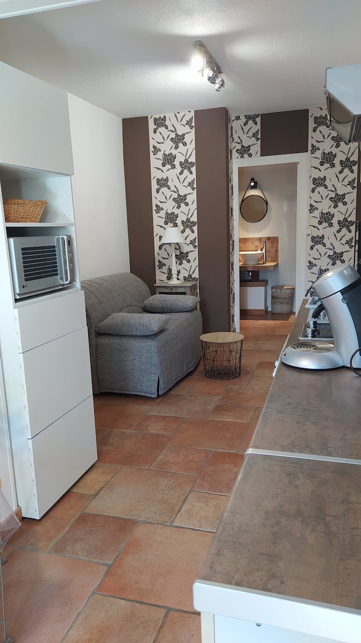 Appartement T2 Entre Mer Et Montagne, Climatisé - Calenzana