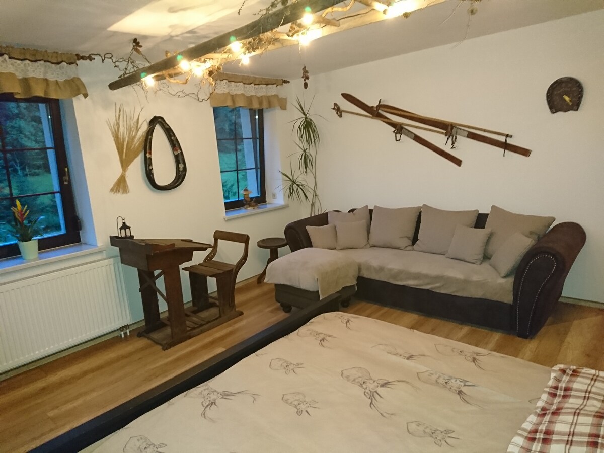 Top performing Airbnb: Vacation home in the forester's house in Erzgebirgskreis