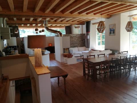 Chalet Les Sybelles (> 300 m2 - sauna)