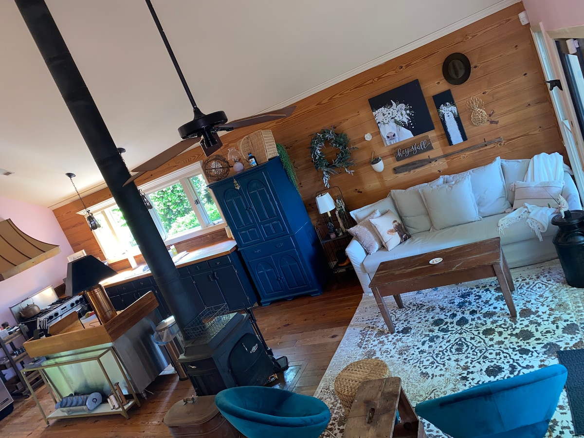 The living area features wooden walls, a cozy sofa, and a rustic coffee table. A vintage blue cabinet complements the open kitchen area. Natural light streams through large windows, highlighting the warm atmosphere. A patterned rug adds texture to the space, with a wood-burning stove situated nearby.