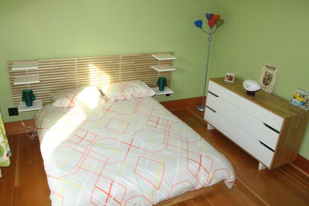 Bright room with a queen bed and a walking closet