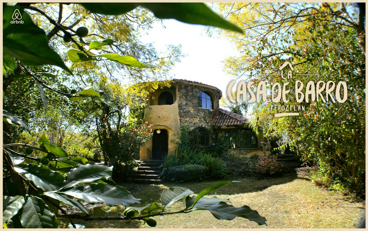 The house, crafted from clay and wood, is nestled amidst greenery. Large windows allow light to filter into the space, while the surrounding trees and plants create a serene environment, perfect for relaxation. The natural setting enhances the home's unique architectural details.