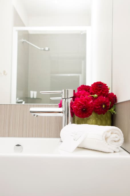 En-suite room with shower, toilet and basin, toiletries, towels, hairdryer incl.