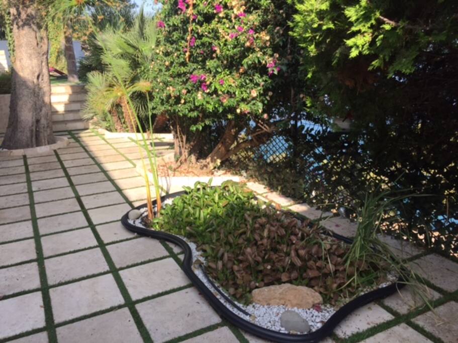 Terrasse