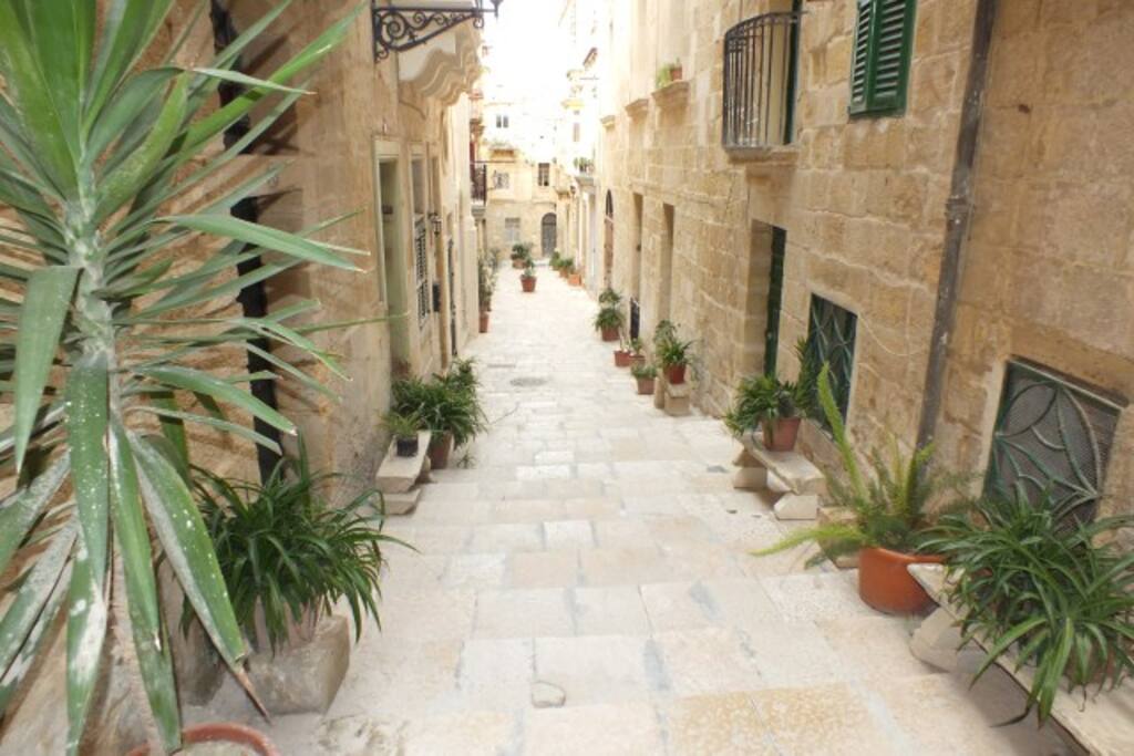 Street from Front Door
