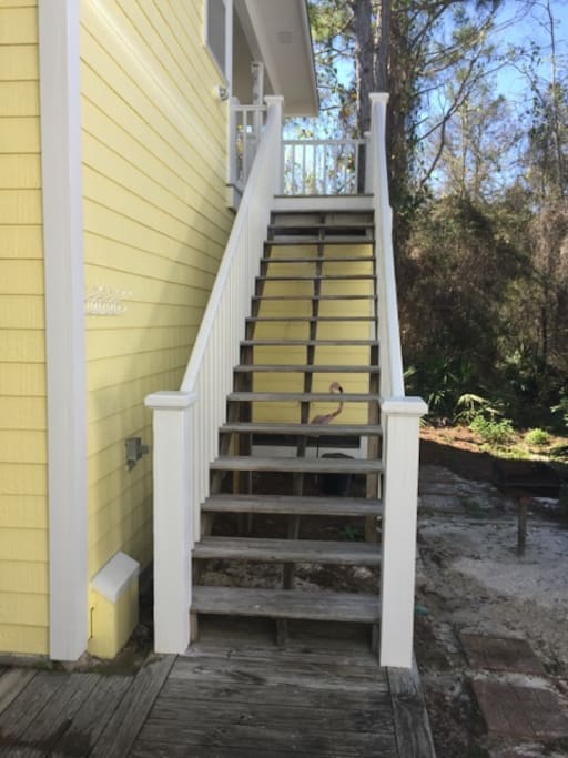 Rear stairway leads up to apartment entry door.