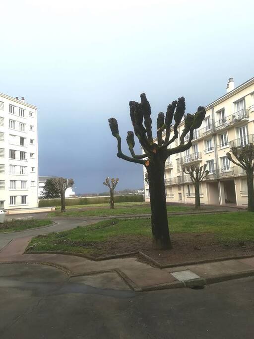Accès par une grande cour élégante arborée et fleurie