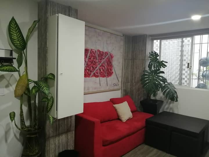 Beautiful modern Loft in the Center of the CDMX Apartments for Rent