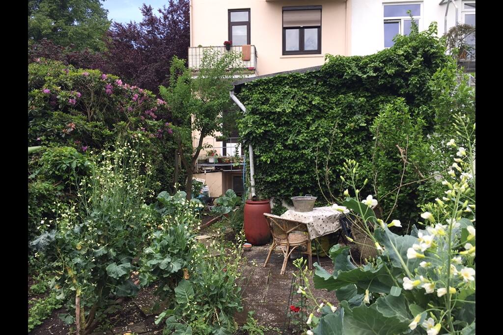 Naturgarten mit Kohl - und das in der Stadt