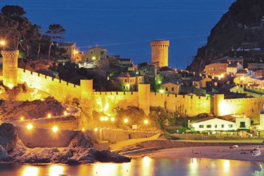 Muralla y Castillo Medieval a unos pasos.