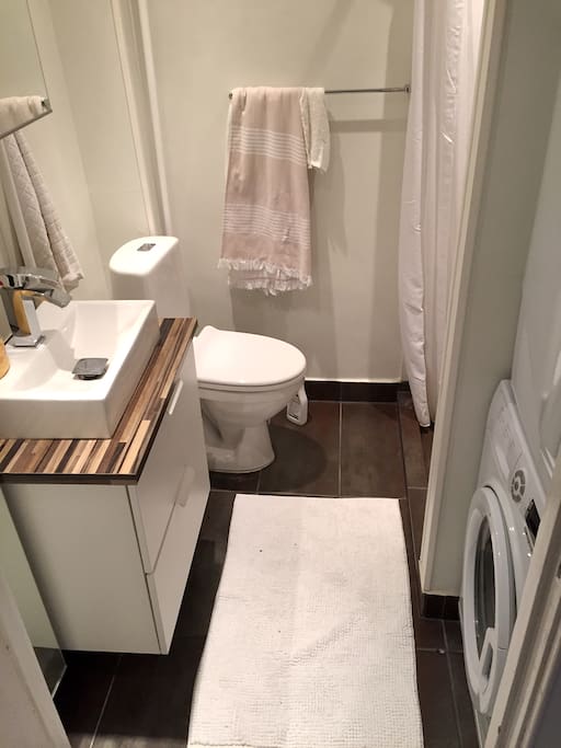 Nice renovated (2014) bathroom