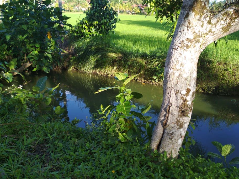 Behind the houses has a fishpool (1)
