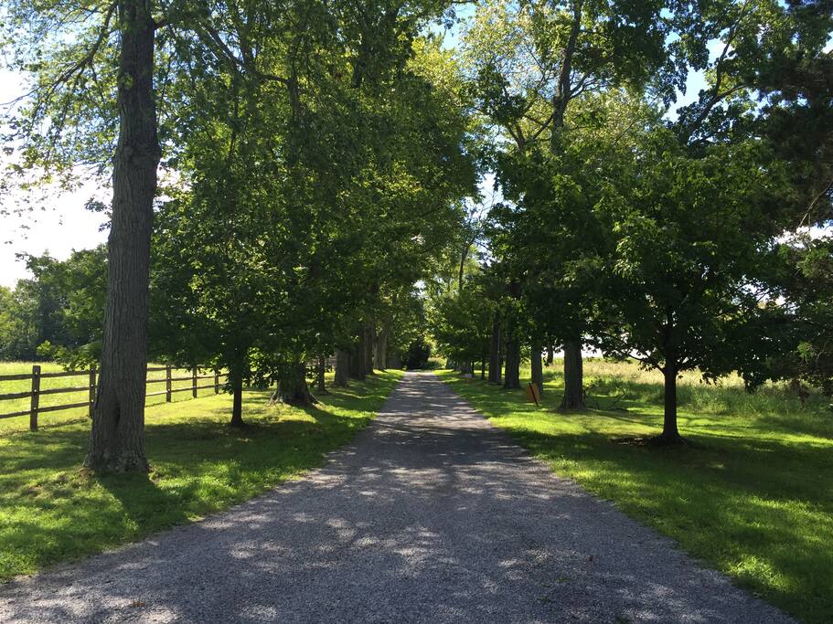 driveway