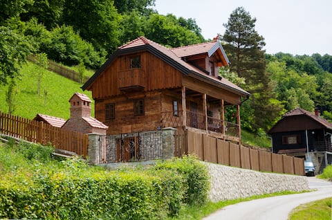 Villa Trnoružica, a fairy tale in the midst of greenery and tranquility