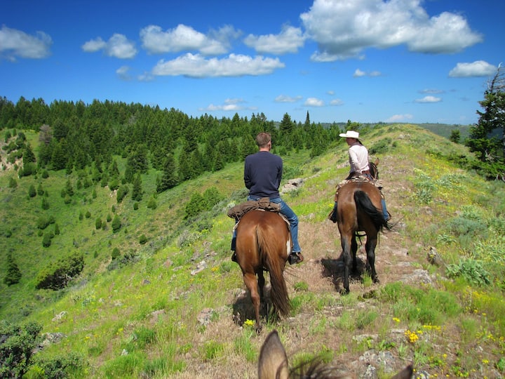 B and B cabin on Horse and Cattle Ranch Farm stays for Rent in Ririe