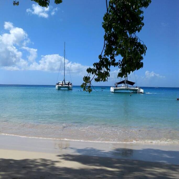 Catamaran Cruises on the West Coast