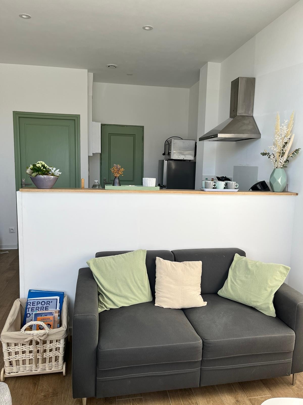 A modern living area features a gray sofa with decorative pillows, positioned near a kitchen area with green cabinets and stainless steel appliances. A small wooden counter separates the spaces, and natural light is present, highlighting the minimalist decor.
