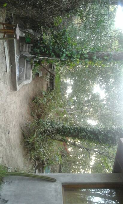 Patio y zona para disfrutar del bosque
