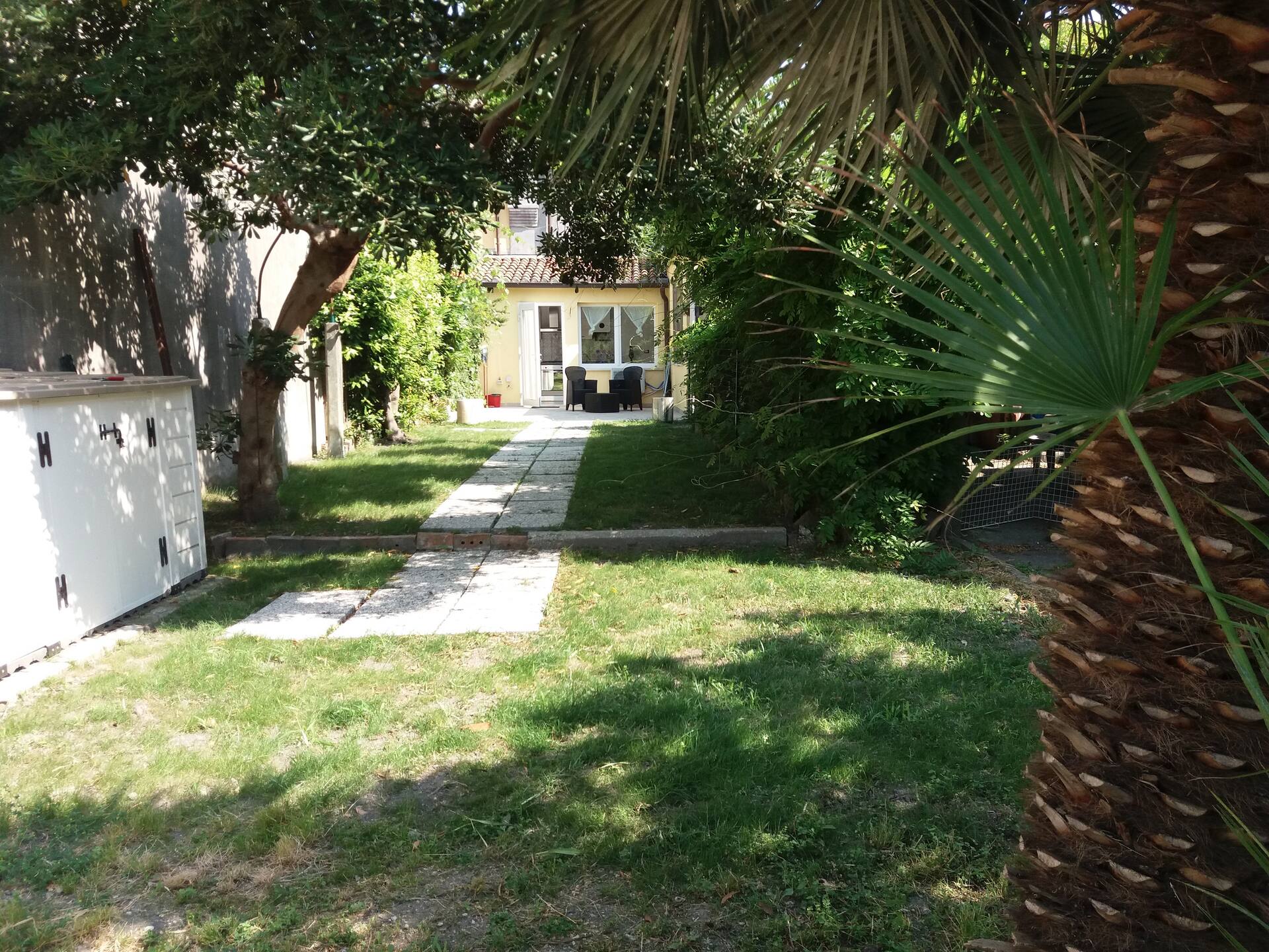Garden in the Venice Murano lagoon