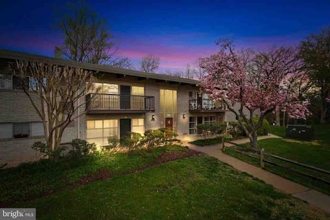 Remodeled 1BR/1BA Condo: close to DC with pool!