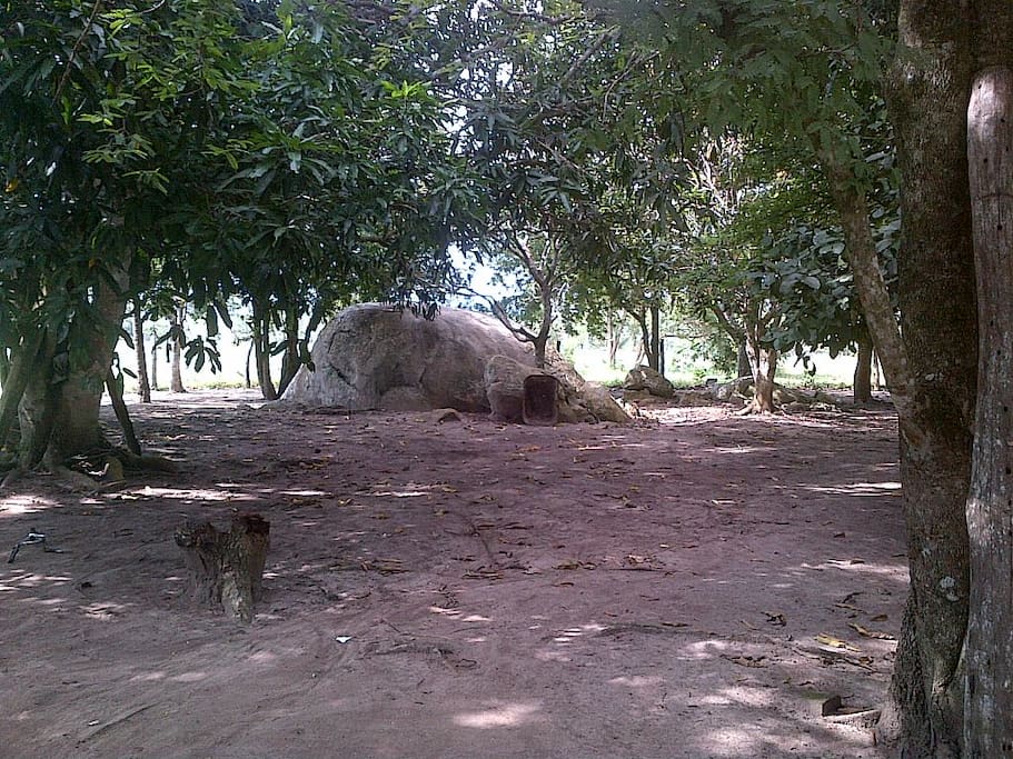 Piedra trasera