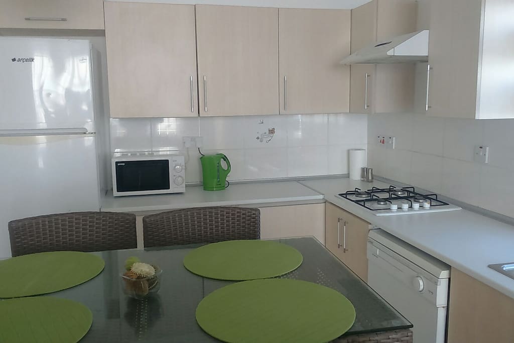 Kitchen (fridge, stove, washing machine, dishwasher, kitchen utensils).