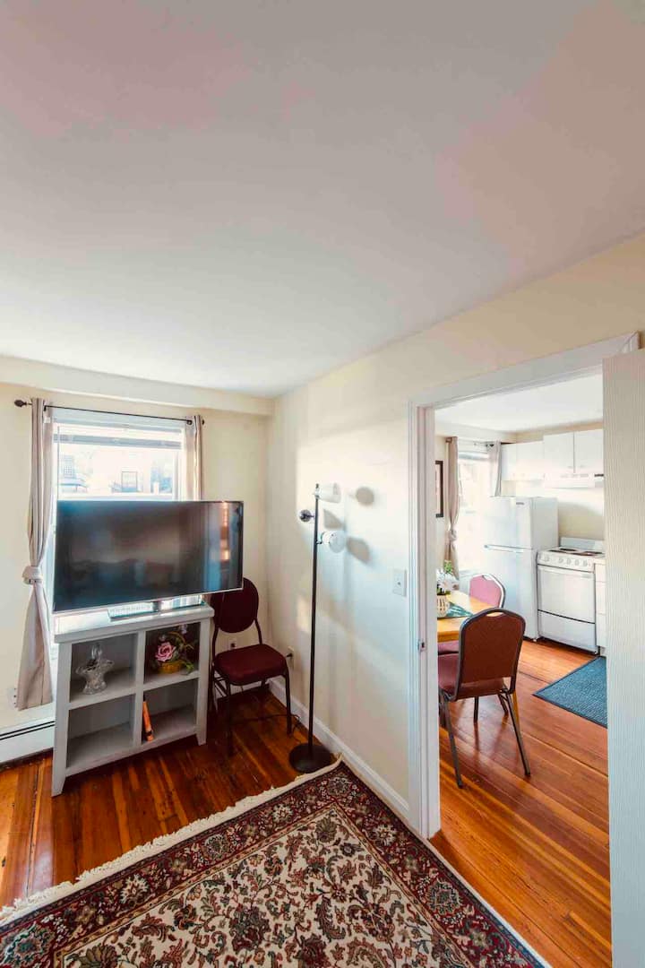 Beacon Hill Boston Best 3 Bed Apt - Boston, MA
