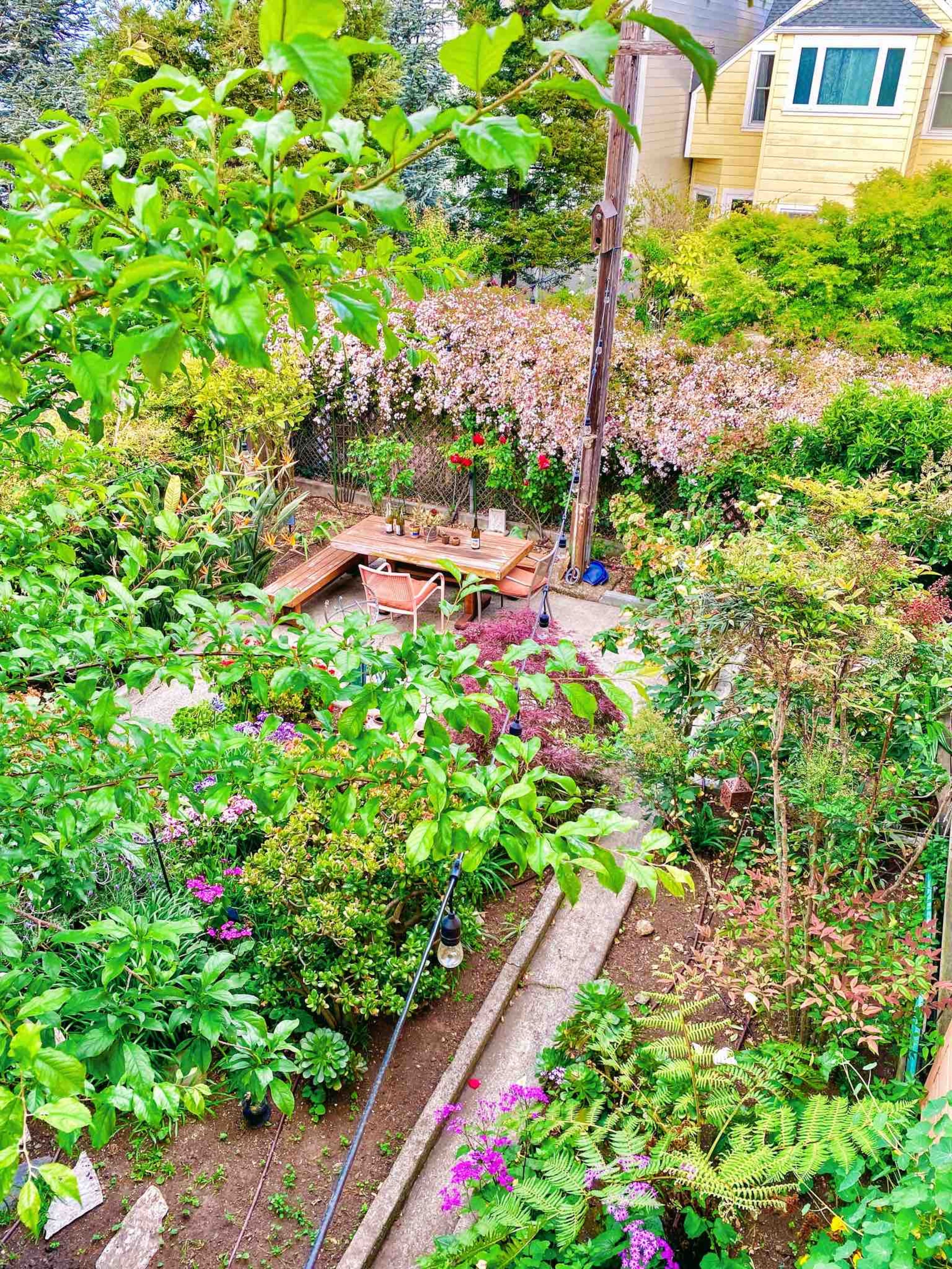 Home in San Francisco · ★4.97 · 2 bedrooms · 2 beds · 1 bath - Image 25