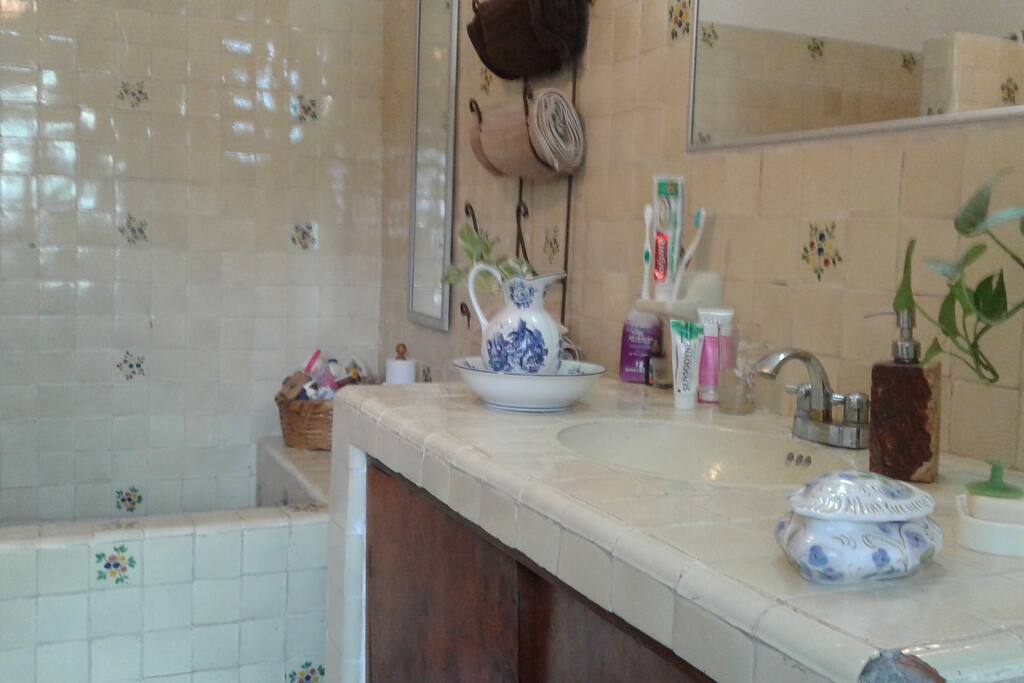 BAÑO AMPLIO CON REGADERA