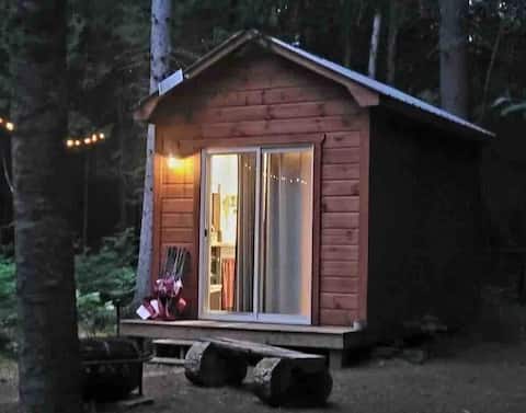 Successful Airbnb property: Tiny Creekside Cabin A in Trent Lakes