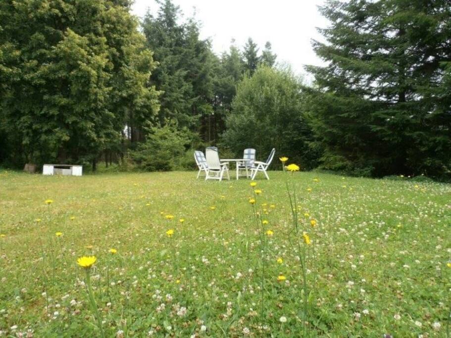 Grote tuin ter beschikking van de gasten.