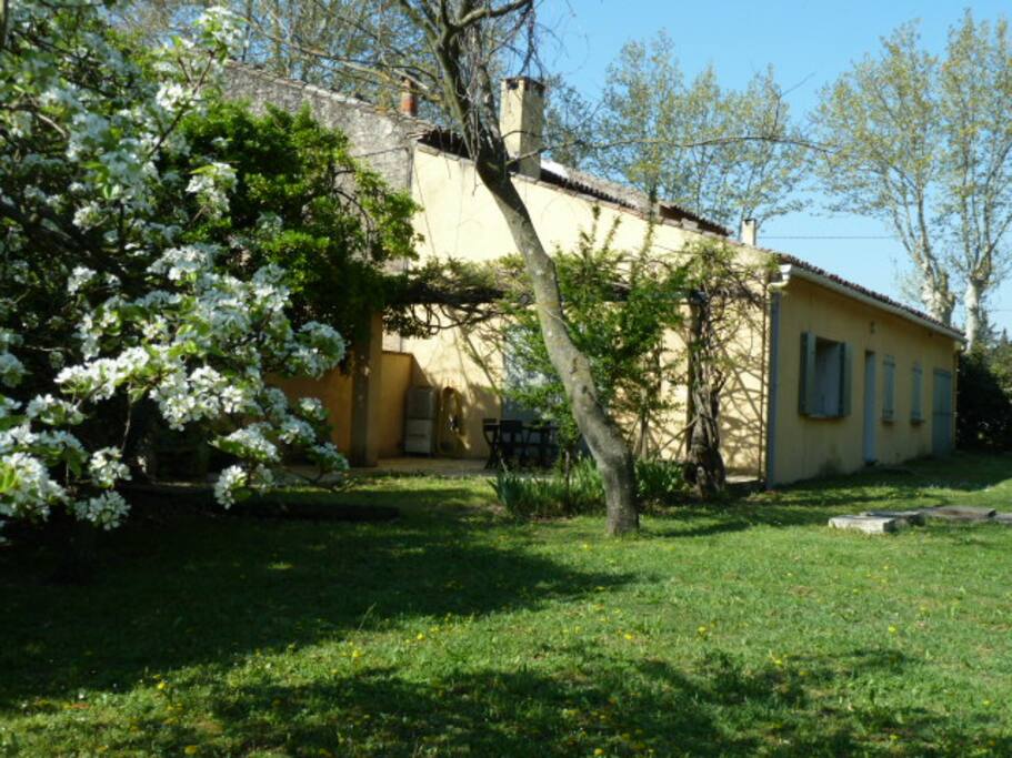 La maison vue du parc