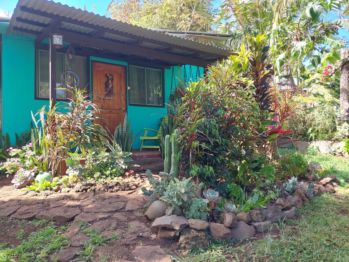 A quaint cabin is set amidst a vibrant garden featuring various plants and succulents, bordered by natural stones. A bright turquoise exterior complements the lush greenery. The entrance is marked by a wooden door, with an inviting porch visible in the foreground.