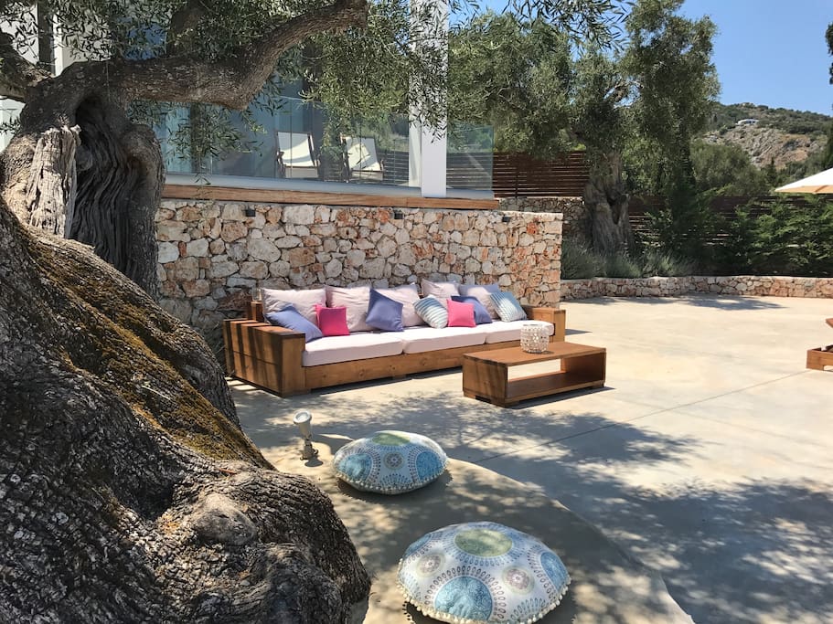 Outside siting area under the ancient olive tree