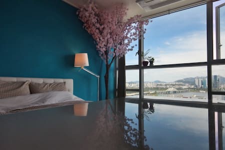 [Free Pocket Wi-Fi] 벚꽃나무/함께 보는 풀 윈도우 한강뷰 + 넓은 스튜디오