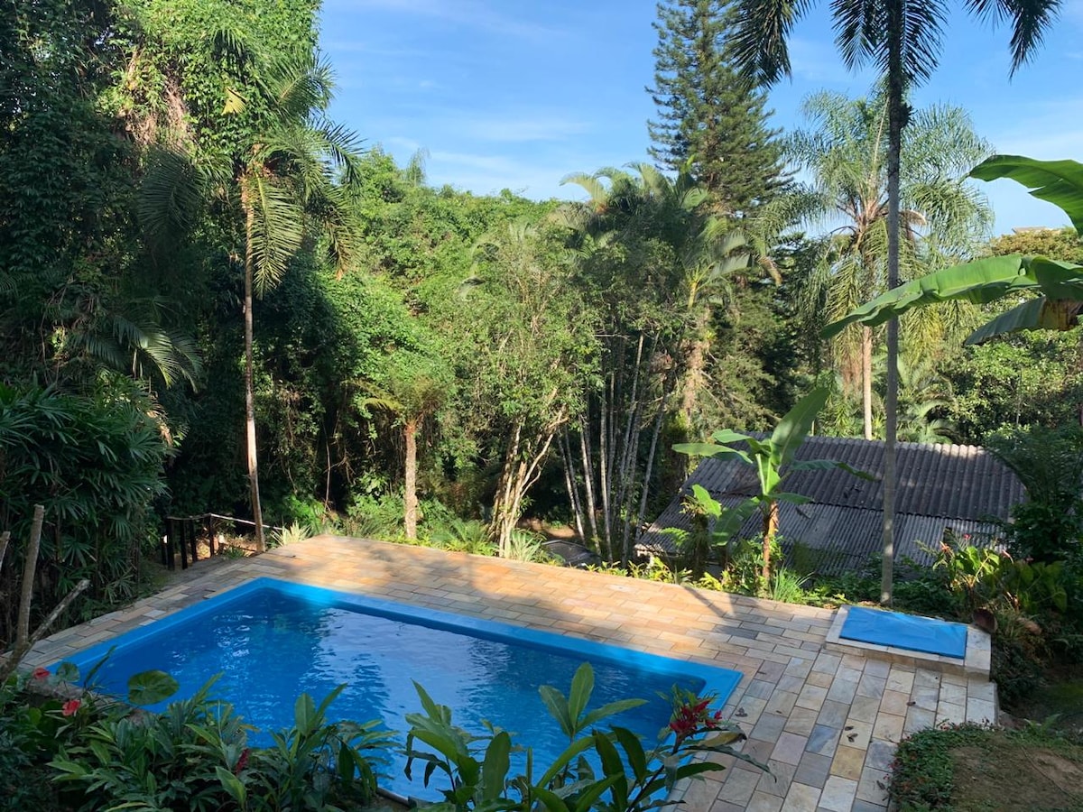 A tranquil outdoor area features a sparkling swimming pool, surrounded by lush greenery and various tropical plants. Sunlight filters through the trees, enhancing the natural setting. A stone patio provides space for relaxation and enjoyment of the peaceful environment.
