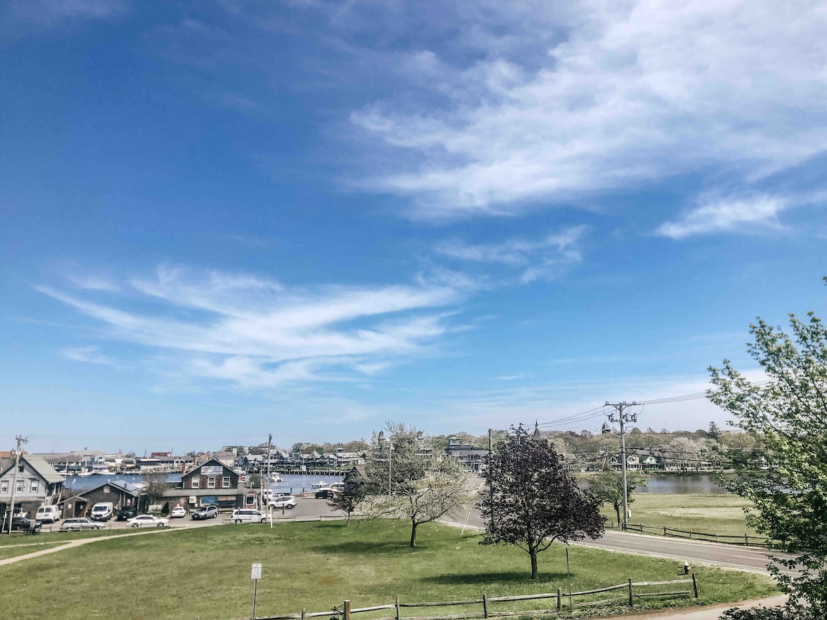 A scenic view of Oak Bluffs harbor is presented, showcasing a mix of residential and marina buildings alongside a grassy area. The sky is bright blue with wispy clouds, and trees are visibly blooming in the foreground.