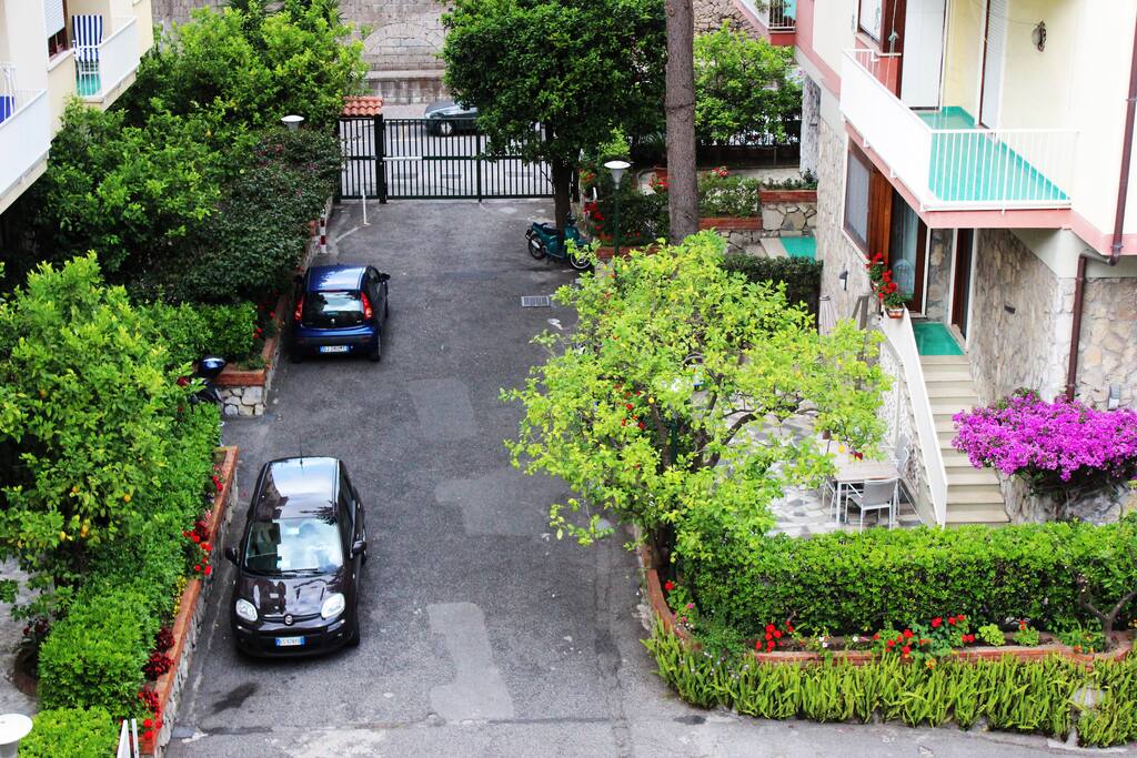 Interno del parco