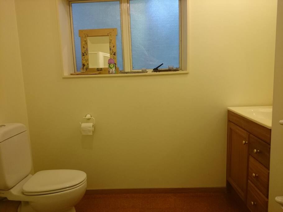 Your own toilet and shower.