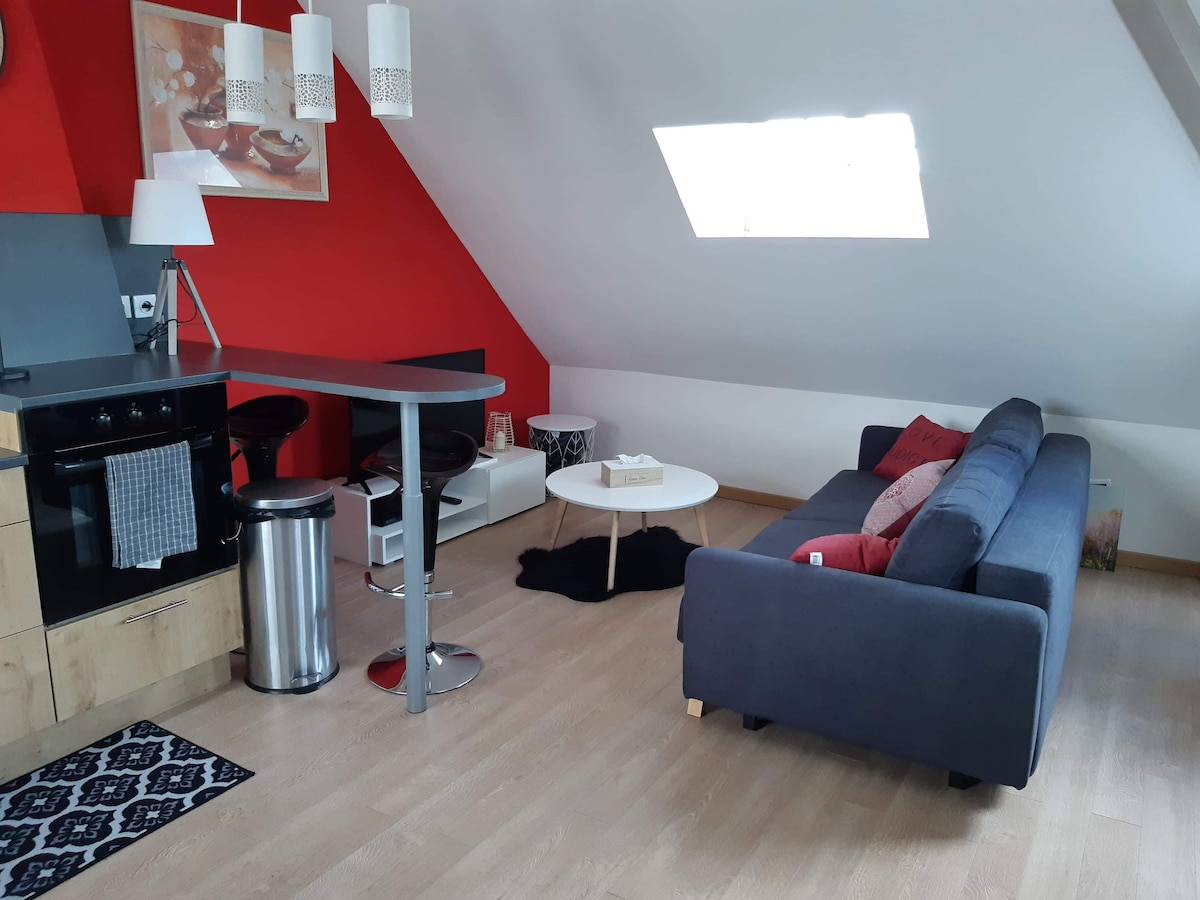 Airbnb performant: Les Iris, Malo-les-Bains (350 m from the beach) à Dunkerque