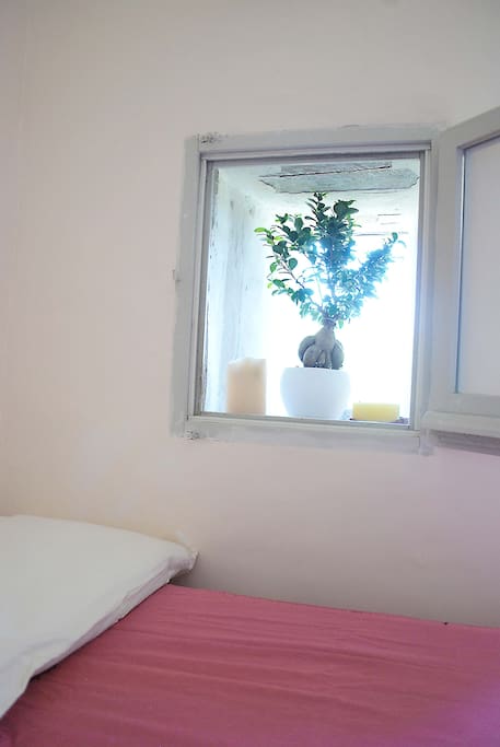 Window