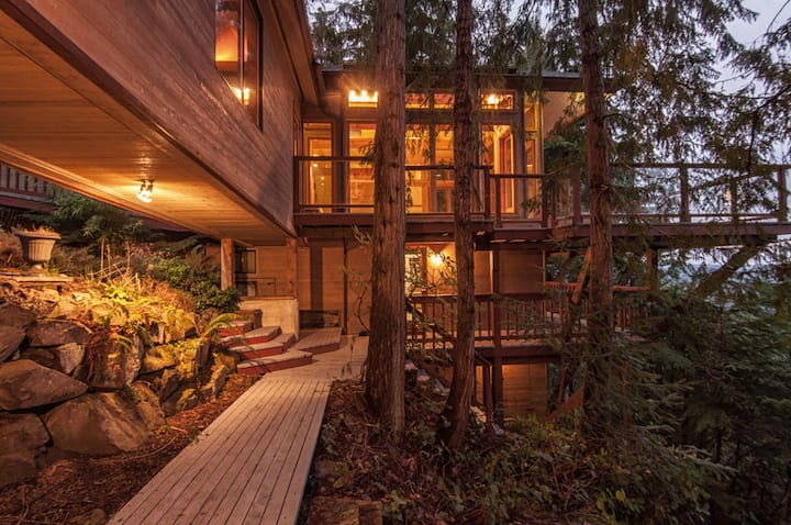 The Sanctuary Retreat: Treetop Living